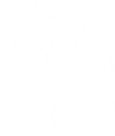 Das Logo der Firma Canine-Design.NET